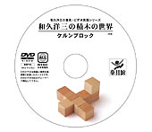 和久洋三の積木の世界ケルンブロック DVD